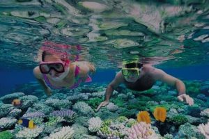 Cham island – Diving and admiring corals